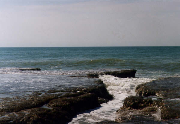 Argentine sea coast Argentine sea coast