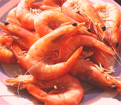 Deep sea prawns