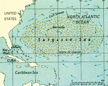 Sargasso Sea - a sea in Atlantic Ocean